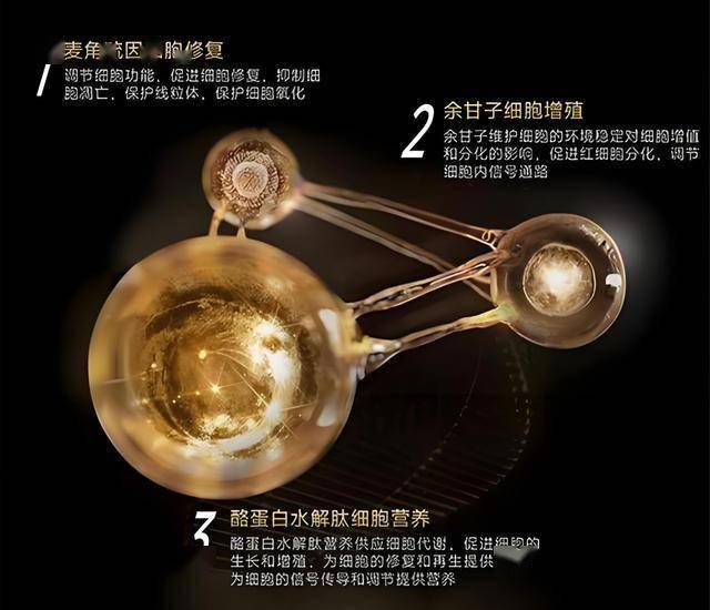 外汇xm平台代理量化交易究竟是救命稻草还是坑蒙拐骗？99%的人都不知道真相！