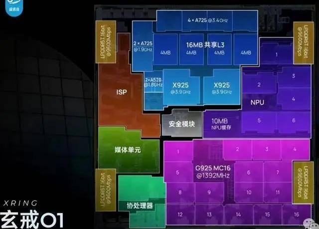 xm外汇平台官网网址身处小行星撞地球现场它却幸存下来